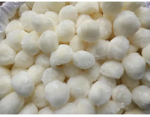 纖維球總評(píng) 纖維球總評(píng)