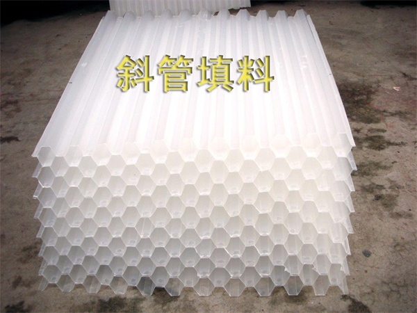 src=http___img005 src=http___img005