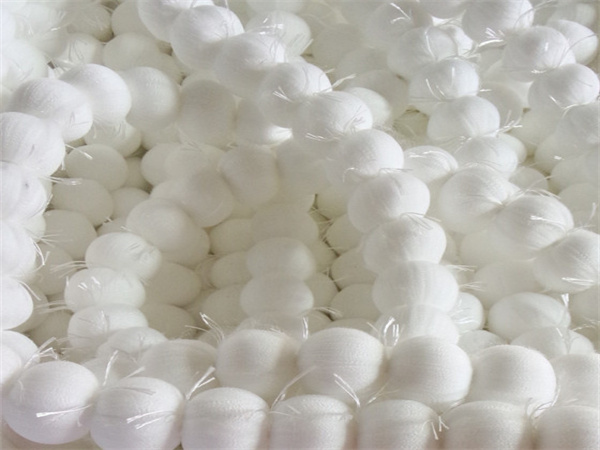 src=http___image src=http___image